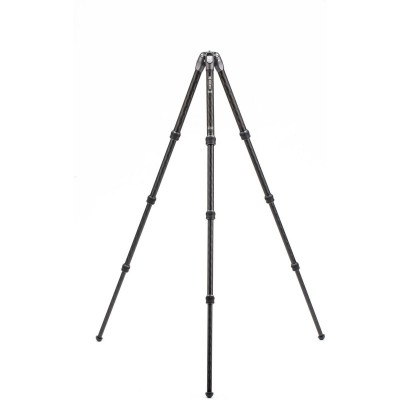 Tortoise Tripod TTOR24C