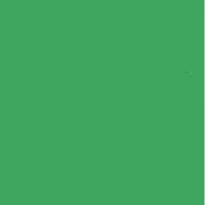 Achtergr.pap.46 Chroma Green 1.38X11M