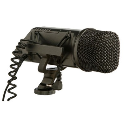 Stereo Videomic