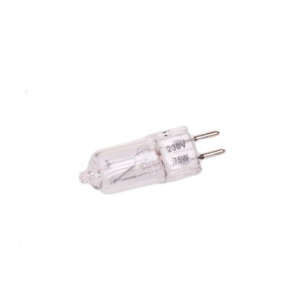 Modeling Lamp 220V/110V 75 Watt JDD